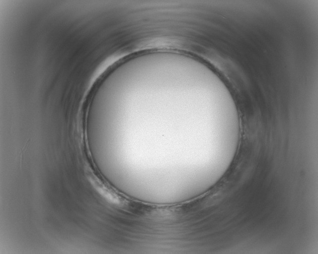 X0000081381078200701182159