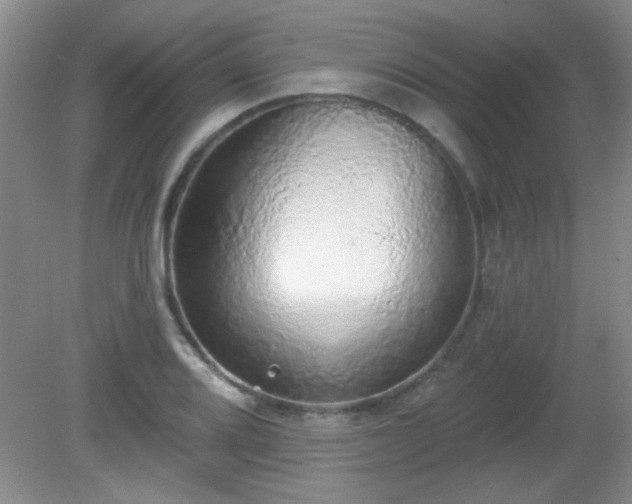 X0000081381080200701182159