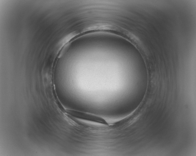 X0000081381081200701182159