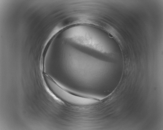 X0000081381084200701182159