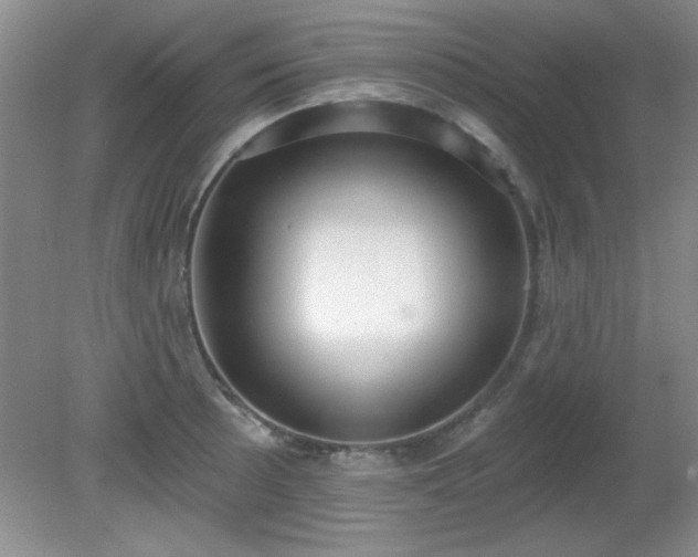 X0000081381089200701182159