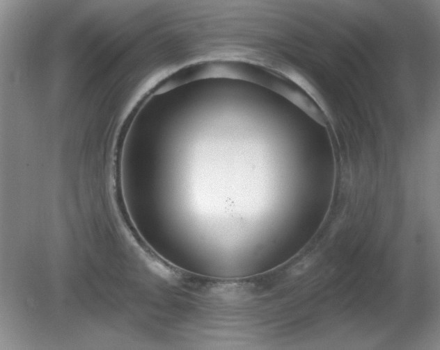 X0000081381093200701182159