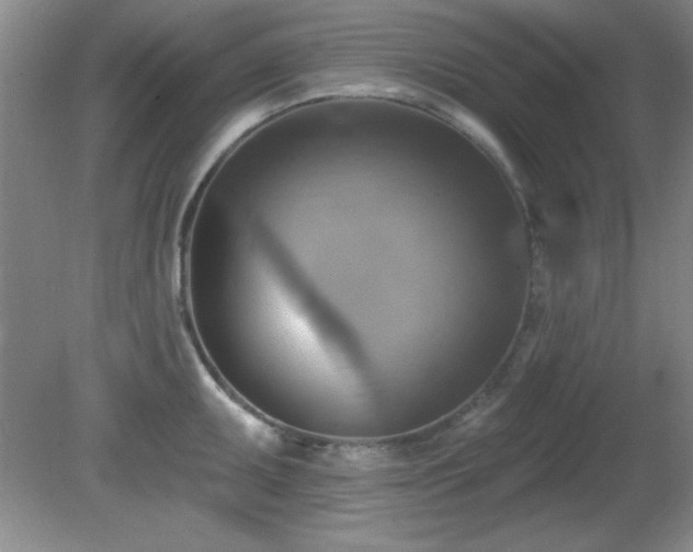 X0000081381095200701182159