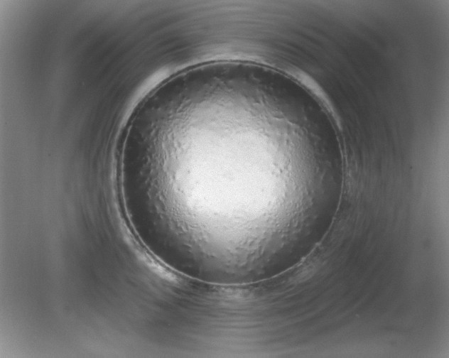 X0000081381096200701182159