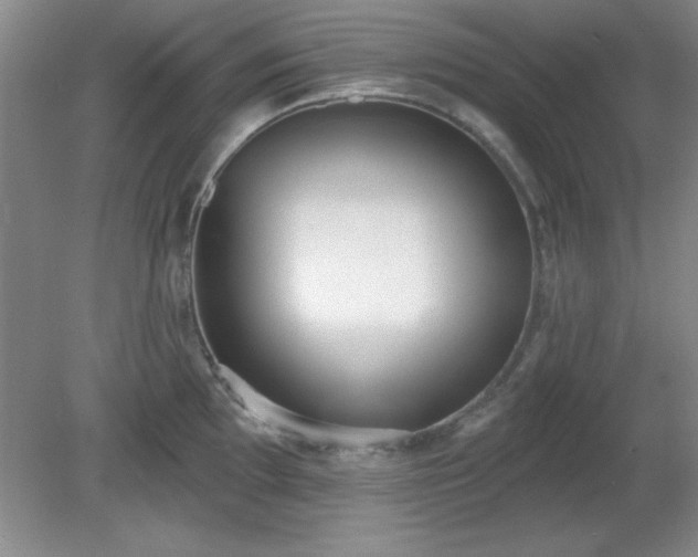 X0000081381097200701182159