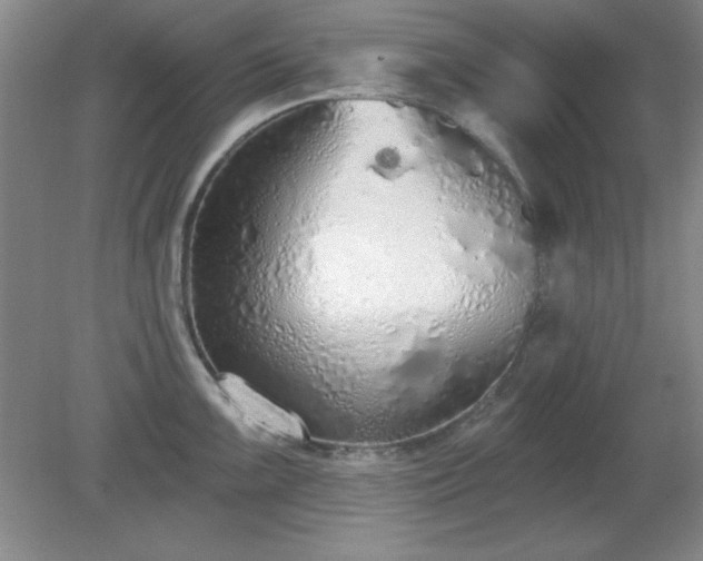 X0000081381099200701182159
