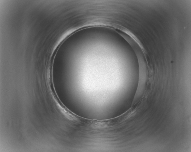 X0000081381101200701182159