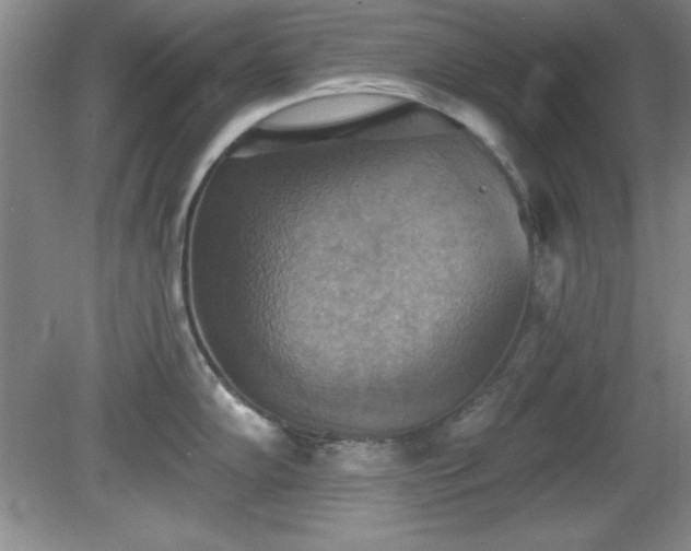 X0000081381102200701182159