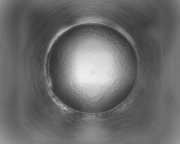 X0000081381104200701182159