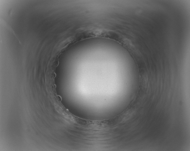 X0000081381105200701182158