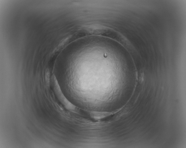 X0000081381108200701182158