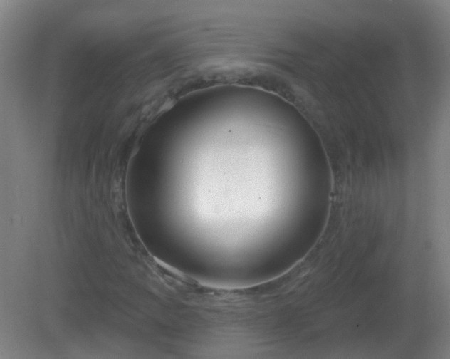 X0000081381109200701182158