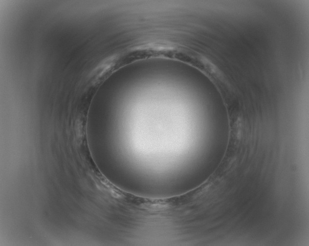 X0000081381110200701182158