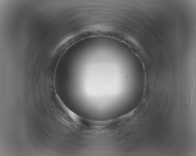 X0000081381112200701182158
