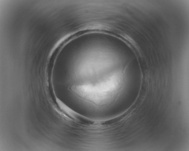 X0000081381120200701182158