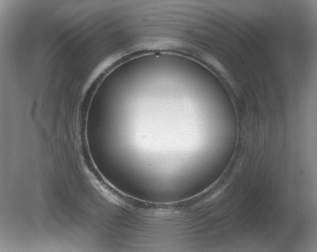 X0000081381122200701182158
