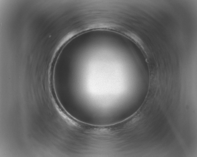 X0000081381135200701182159