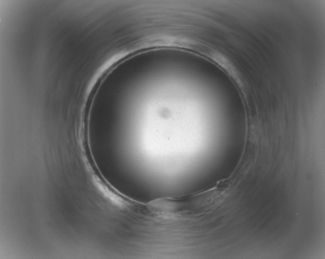 X0000081381136200701182159