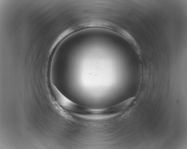 X0000081381138200701182159