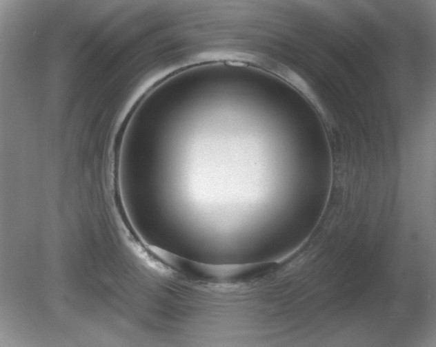 X0000081381140200701182159