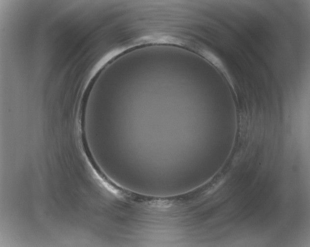 X0000081381141200701182159