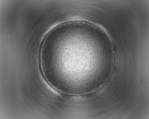 X0000081381142200701182159
