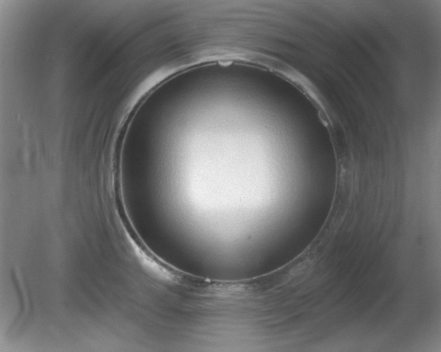 X0000081381143200701182159