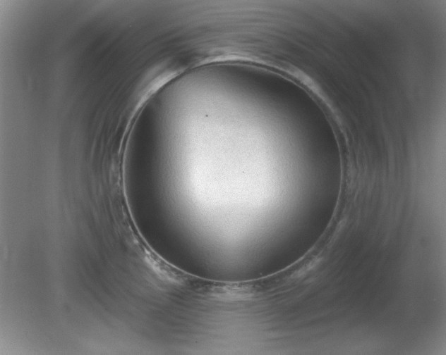 X0000081381145200701182159