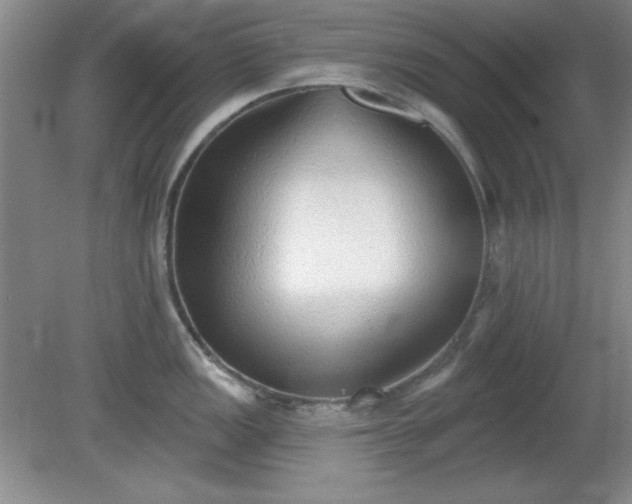X0000081381149200701182159