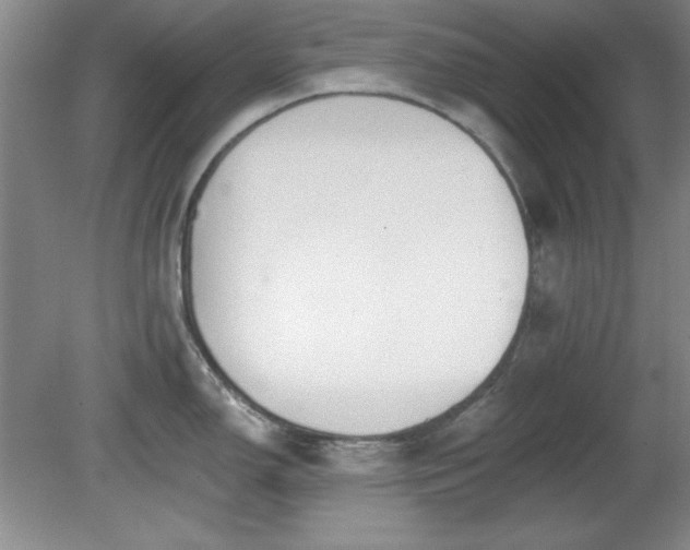 X0000081381150200701182159
