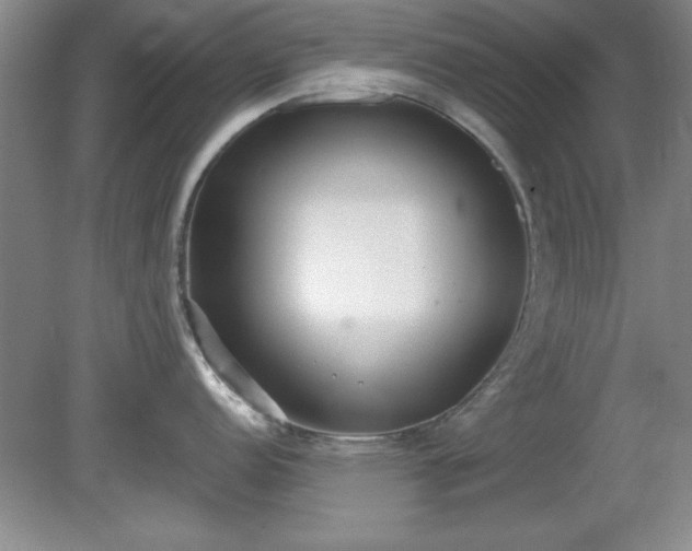X0000081381152200701182159
