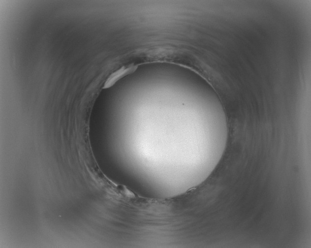 X0000081381153200701182158