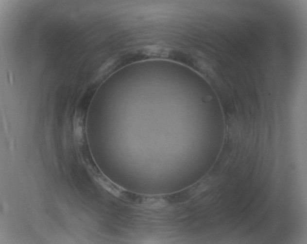 X0000081381154200701182158