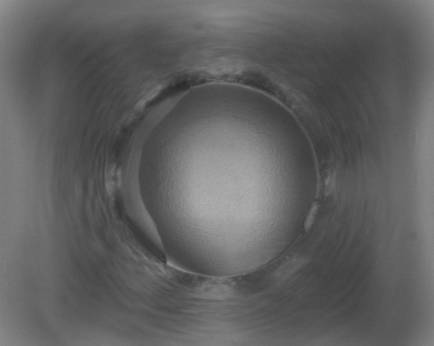 X0000081381156200701182158