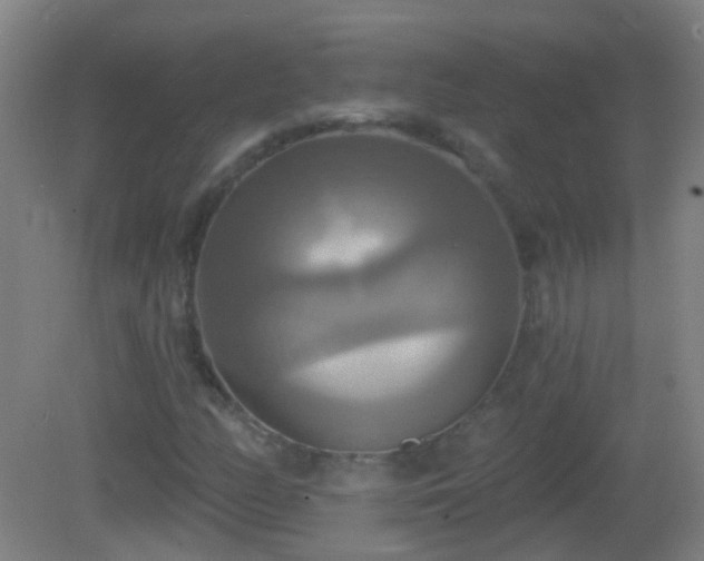 X0000081381158200701182158