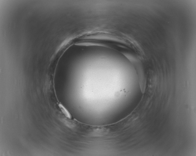 X0000081381160200701182158