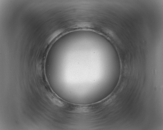 X0000081381162200701182158