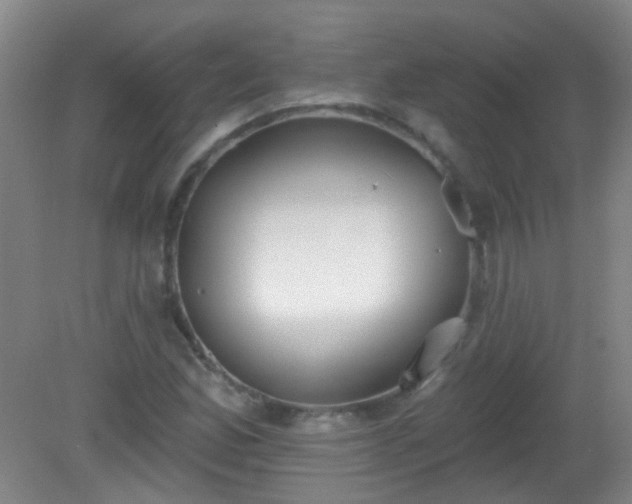X0000081381165200701182158