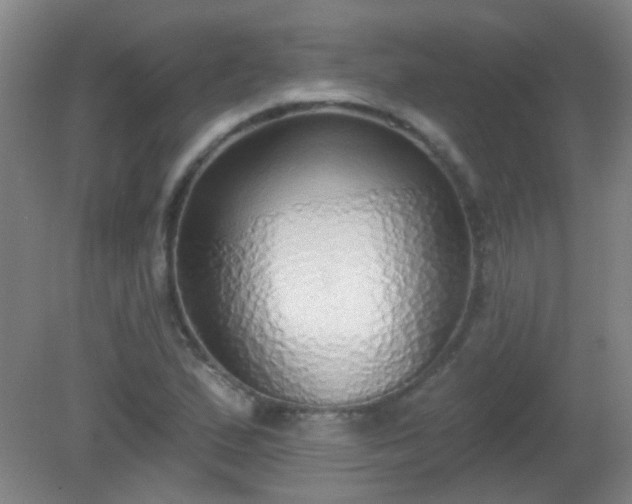 X0000081381167200701182158