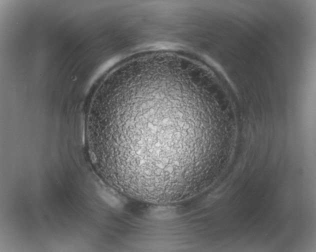 X0000081381171200701182158