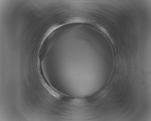 X0000081381179200701182158