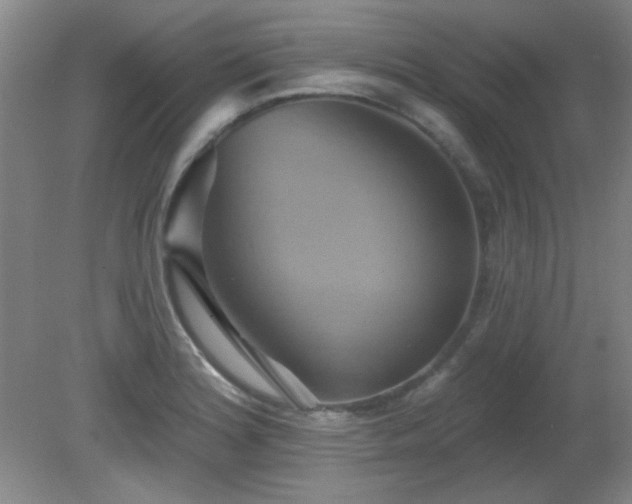 X0000081381180200701182158