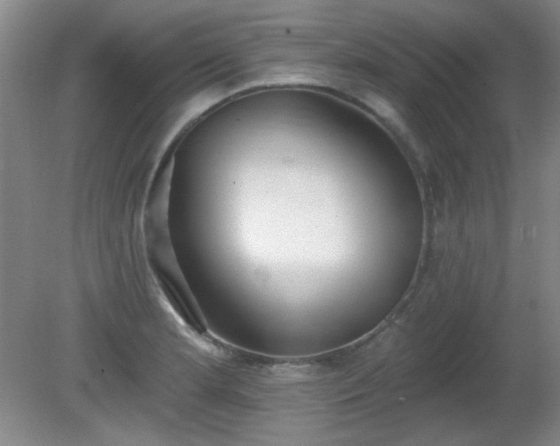 X0000081381181200701182158