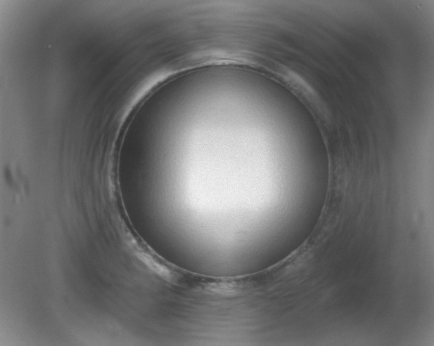 X0000081381182200701182157