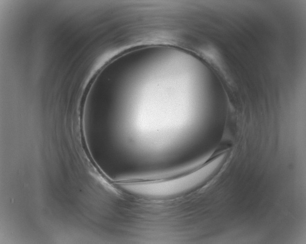 X0000081381184200701182157