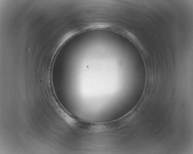 X0000081381186200701182157