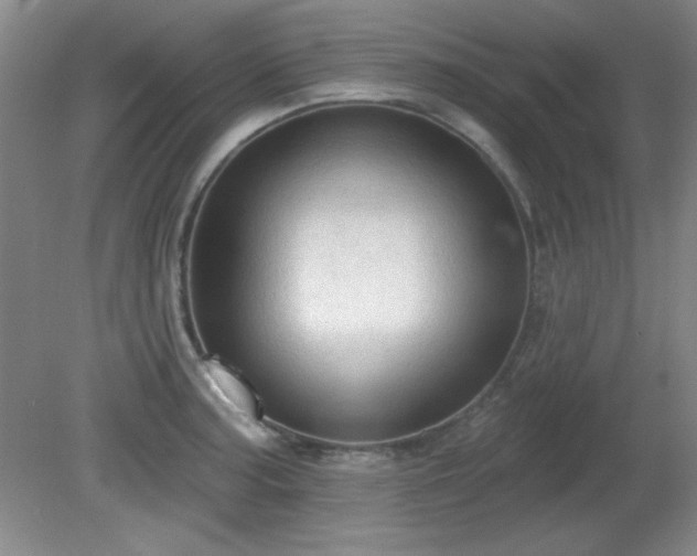 X0000081381187200701182157