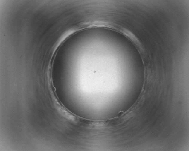X0000081381190200701182157