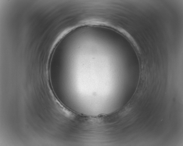 X0000081381191200701182157