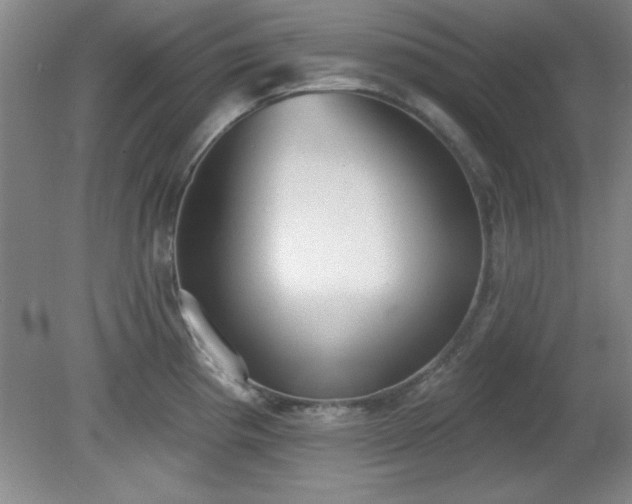 X0000081381193200701182157